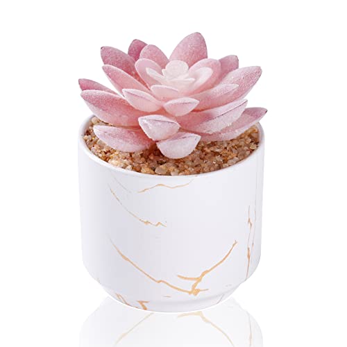 ZENIDA Succulent Artificial Plants,Cute Fake Succulents in 1 White Ceramic Pots,Small Fake Plants for Office,Table,Desk,Bathroom, Bedroom,Aesthetic Room Shelves Decor,Desk Decorations for Women Office - color: White