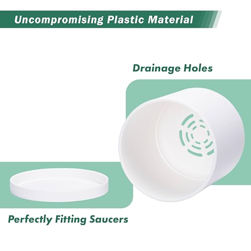 D'vine Dev 2 Pack 5 Inch Modern Plastic Plant Pots, Small Garden Planters for Plant with Drainage Holes and Saucers, White Color, 74-Z-G-1 - size: 5"