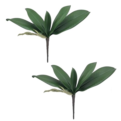 M2cbridge Artificial Green Orchid Leaves Phalaenopsis Stems Real Touch for Flowers Arrangements Pot Decor(10",2pcs) - color: 10",2pcs