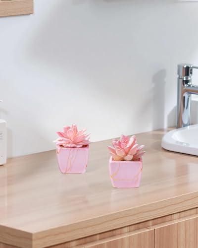 Taybonds Artificial Succulent in 2PCS Pink Ceramic Pot, Small Fake Succulents Plants for Office and Desk Decor,Bathroom - color: Pink