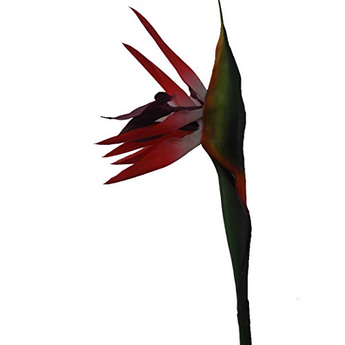 Calcifer 32'' Real Touch Bird of Paradise Artificial Flowers Bouquet for Home Garden Decoration/Wedding Party Decor (Package Quantity: 5 Stems Red) - color: Package Quantity: 5 Stems Red
