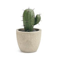 4" Artificial Potted Plants Faux Cactus