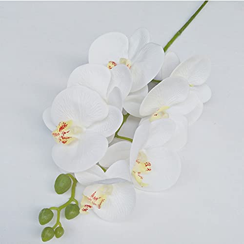 FagusHome 32" Artificial Phalaenopsis Flowers 5 Pcs Artificial Orchid Flowers Stem Plants for Home Décor