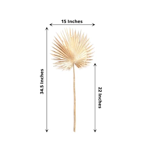 Efavormart 2 Pack 34 inch Shiny Metallic Gold Artificial Fan Palm Leaf Stems, Tall Faux Tropical Foliage for Stately Floor Vases and Modern Event Styling - color: Type6