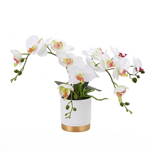 Artificial Orchid Plant with Pot, Realistic Faux Phalaenopsis Orchid with Moss, Lightweight Desktop Decor for Home and Office (White Two Branches) - color: White Two Branches