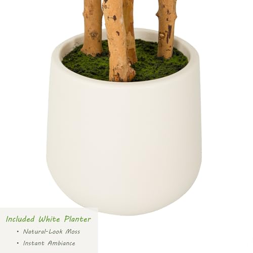 Nafresh 6ft Ficus Tree Artificial with Multi-Real Wood Trunks & White Planter, 72in Realistic Texture Potted Faux Ficus Tree, Fake Trees Indoor for Home Office Living Room Bedroom Porch Decor - size: White Planter - 5.99FT