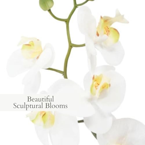CG Hunter Faux Phale White Orchid Plant, Set-of-2 Premium Artificial Indoor Flower Display Stands 22”, Beautiful Sculptural Blooms that Lasts Forever, Planter Pot Included - size: 22" White Phale Orchid (Set-of-2)