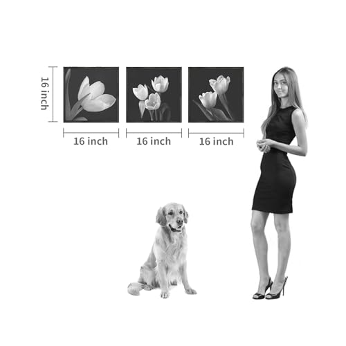 Hardy Gallery Floral Wall Decor Artwork - Black and White Tulip Canvas Set for Living Room Bedroom 16"x16"x3panels - color: Black and white picture, size: 16'' x 16'' x 3 Panels
