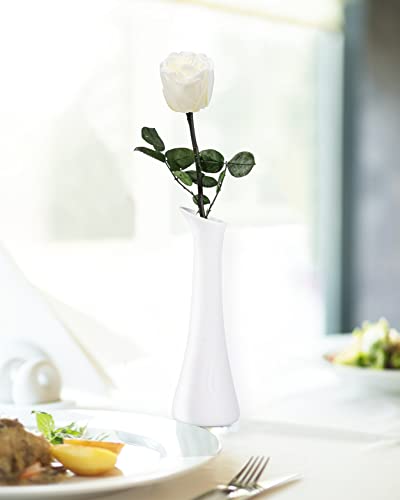 White Flowers for Delivery Prime, Preserved White Roses Flower Gifts for Women, Real Roses Single Rose Gifts for Her, Mom Birthday Gifts from Daughter, Valentines Flowers - color: 01-white