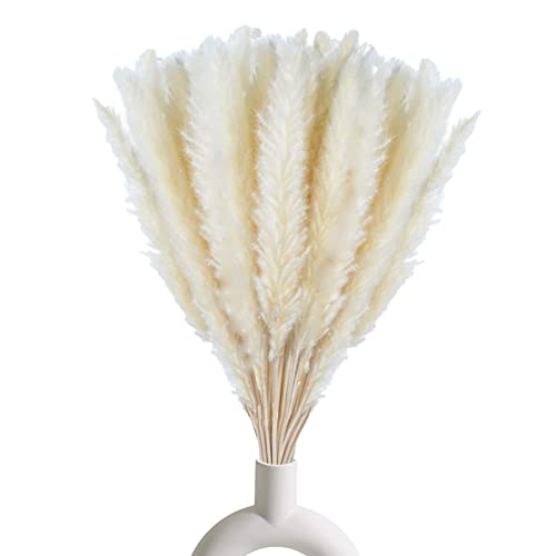 30 Pcs White Pampas Grass ,17 inch/45 cm Natural Dried Pampas Grass Branches Decor for Home Kitchen Garden Party Photographing Flower Arrangement Vase Decor（White - color: White