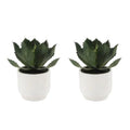 CG Hunter Round Faux Succulent Arrangement, Set-of-2 Premium Artificial Indoor Plants Enhances Interior Design, Display on Any Surface in Your Home Adding an Inviting Touch of Nature, Pots Included - size: 10" Set-of-2