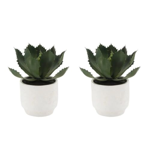 CG Hunter Round Faux Succulent Arrangement, Set-of-2 Premium Artificial Indoor Plants Enhances Interior Design, Display on Any Surface in Your Home Adding an Inviting Touch of Nature, Pots Included - size: 10" Set-of-2