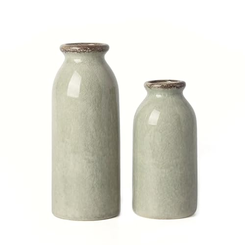 VICTOR & TERESA Green Ceramic Vases Home Decor, Farmhouse Vase for Flowers, Flower Vase Set of 2, Rustic Decorative Vases for Pampas Grass, Table, Living Room, Shelf, Centerpieces, 8 inch - color: Green