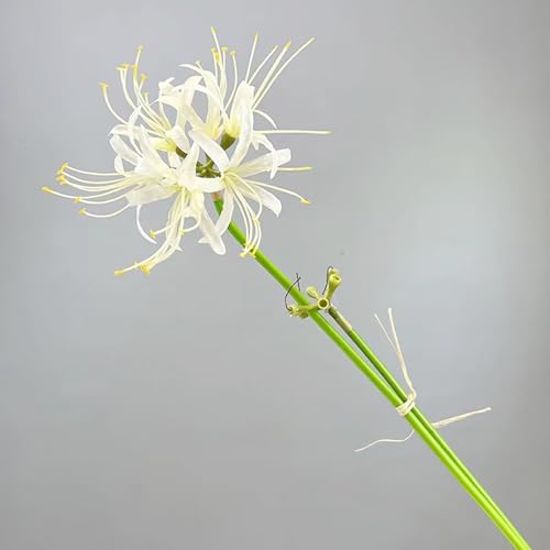 6 Sets 67 CM Lycoris Radiata Artificial Spider Lily Flowers Stonegarlic Clusteramaryllis for Home Garden Wedding Party Decor (Pure White) - color: Pure White