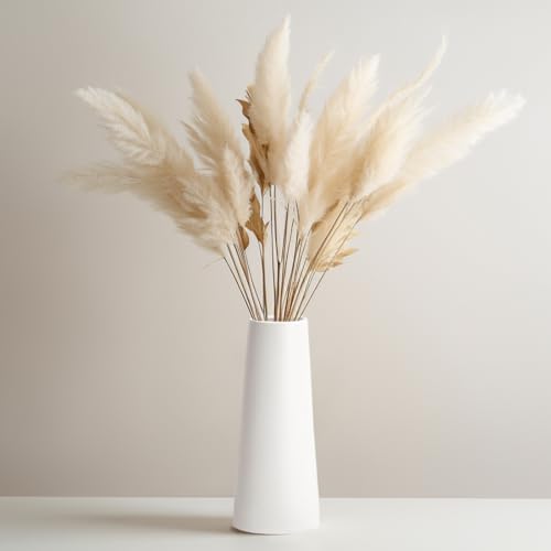 Simple Modern White Ceramic Vase - 10 Inch, Perfect for Pampas Grass, Rustic Table Centerpieces, Home Office Decor - color: White, size: Large: 10 inches
