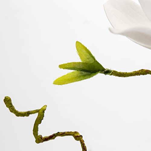 DILATATA Faux Flowers in Vase 15.4" Magnolias Flowers Arrangement with Faux Water Real Touch Flowers for Wedding Table Centerpiece Home Decor, White - color: White-magnolia#1