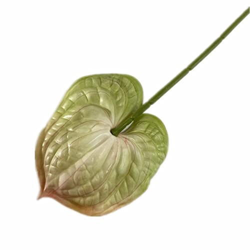8pcs Artificial Anthurium Flower Branch 60cm 3D Printing Effect Faux Real Touch Single Stem per Piece Anthurium for Home Table Floral Decoration (chamapgne with Ligth Green) - color: Chamapgne With Ligth Green