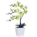 15" Tall Artificial Silk Phalaenopsis Orchid Flower Plant Pot Arrangements (Apple Green) - color: Apple Green