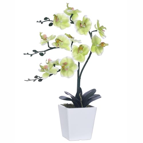 15" Tall Artificial Silk Phalaenopsis Orchid Flower Plant Pot Arrangements (Apple Green) - color: Apple Green