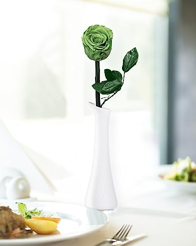 Green Flowers for Delivery Prime, Preserved Green Roses Flower Gifts for Women, Real Roses Single Rose Gifts for Her, Mom Birthday Gifts from Daughter, Valentines Flowers - color: 14-yellow Green