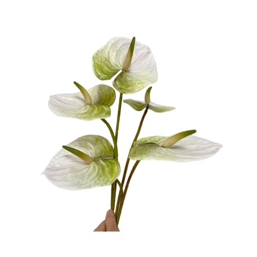 Rikyo 5 Pc 24inch/61cm Artificial Anthurium Lily Flowers Permanent for Home Decor Bouquet and Green Leaf for Bridal Wedding Festival Party,Store Decor Small Flower Bouquet Accessories (White) - color: White
