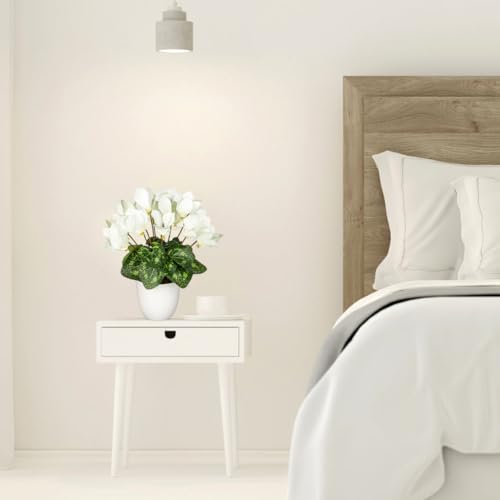Hollyone Artificial Cyclamen Flowers Plant Potted Fake Silk Flower Plants in White Pot Faux White Cyclamen Flowers Arrangement Home Decor Office Bathroom Shelf Desk Decorations - color: White, size: Cyclamen Flowers