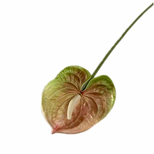 8pcs Artificial Anthurium Flower Branch 60cm 3D Printing Effect Faux Real Touch Single Stem per Piece Anthurium for Home Table Floral Decoration (chamapgne with Ligth Green) - color: Chamapgne With Ligth Green