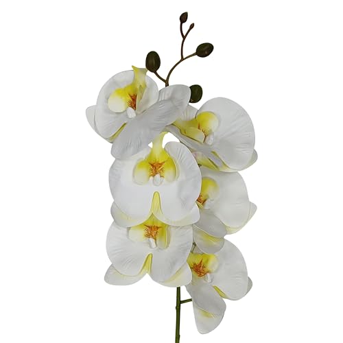 10 Pack Ivory Orchid Artificial Flowers Real Touch, 27'' Artificial Fake Faux Silk Orchid Stem Bouquets for Wedding Party Home Garden Decor,Orquideas Artificiales para Decora (excluding the vase) - color: Ivory White