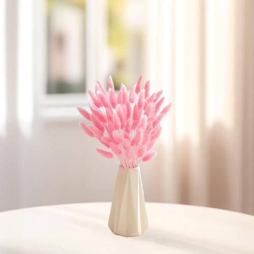 60PCS Rabbit Tail Grass Dried Flowers Dried Natural Floral Arrangement Bunch Decoration Dried Grass,Eternal Flower Dried Grass for Home,Wedding,Party,Flower Bouquet,Photo Props Decor (Pink)