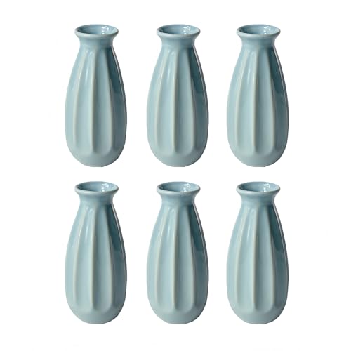 6-Pack Simple Vase Set for Flowers Plants, Small Cute Flower Vase for Modern Table Shelf Home Decor Wedding Boho Decor, Farmhouse - color: 6pc-stjh-blue