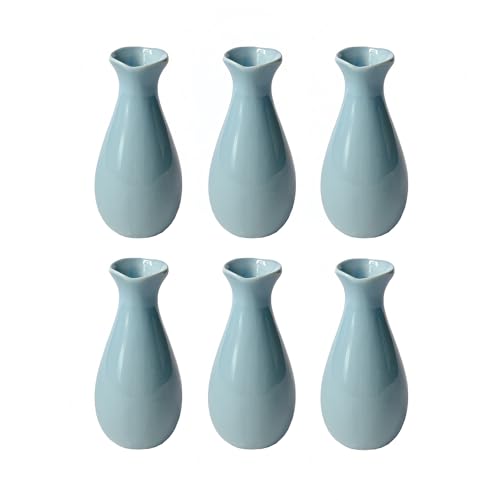Simple Vase for Flowers Plants, Small Cute Flower Vase for Modern Table Shelf Home Decor Wedding Boho Decor, Farmhouse (6pc-XJH-Blue) - color: 6pc-xjh-blue