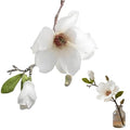 White Artificial Magnolia Silk Flower for Home, Wedding, Garden Decor, Single Stem for Vase, Table Arrangement