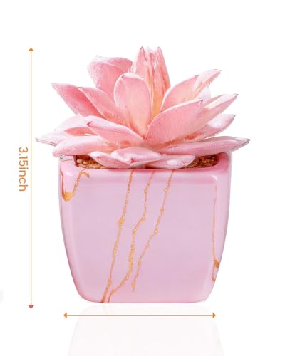 Taybonds Artificial Succulent in 2PCS Pink Ceramic Pot, Small Fake Succulents Plants for Office and Desk Decor,Bathroom - color: Pink