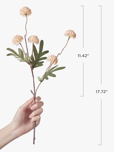 InnoGear Silk Flowers Pompon Mums Artificial Flowers, 5pcs 25 Heads Fake Mini Chrysanthemums with Long Stems Bulk Faux Kiku Flower for Decoration Memorial DIY Wedding Bouquets Centerpieces, Beige
