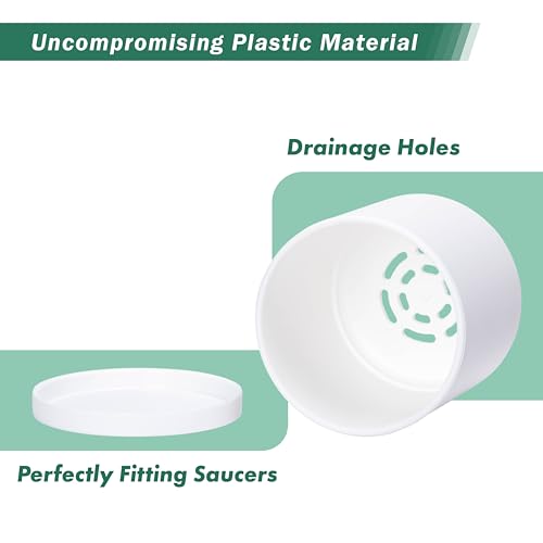 D'vine Dev 2 Pack 4.5 Inch Modern Plastic Plant Pots, Small Garden Planters for Plant with Drainage Holes and Saucers, White Color, 74-Z-F-1 - size: 4.5"