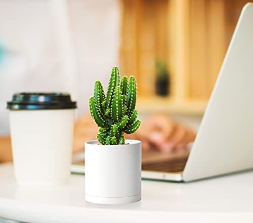 D'vine Dev 12 Pack 3 Inch Mini Plastic Plant Pots, Small Garden Planters for Plant with Drainage Holes and Saucers, White Color, 74-Z-C-4 - size: 3"