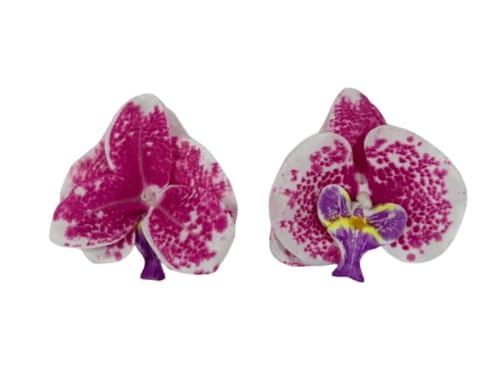 Corkwaw 50 Pcs Orchid Petals Artificial Decorations Orchids Heads Flowers Faux Silk Phalaenopsis Butterfly Flower Heads for Handmade DIY Home Wedding Party Decoration (Purple) - color: Purple