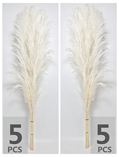 10 Stems 46" inch White Pampas Grass Decor Tall, Large Pompas Grass, Boho Neutral Home Decor Bouquet, Fluffy Pampass Grass for Floor Vase Wedding Floral Arrangements Wall Farmhouse Table Decor - size: 10PCS 46inch White