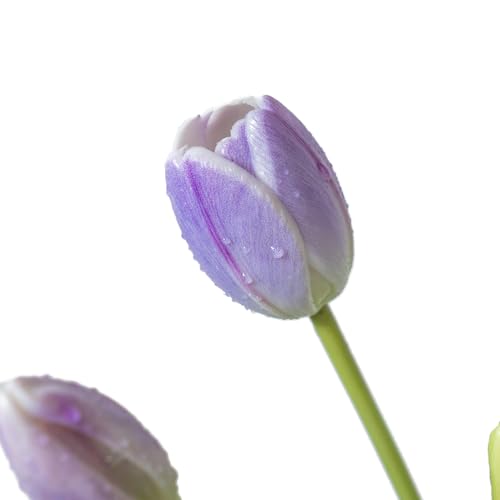 DUYONE 15Pcs Artificial Tulips Flowers, Soft Touch Realistic Latex Tulips Bouquet for Home Office Wedding Party Garden Decor, Fake Flowers for Centerpieces Dining Table Living Room Spring-B Lavender - color: B Style-15pcs Lavender(no Vase)