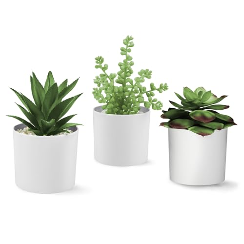 Hopewood Succulent Plants Artificial in White Pots Small Faux Potted Succulents Fake Plants in Vase Set of 3 - color: Faux Plants-white