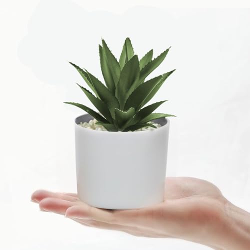 Hopewood Succulent Plants Artificial in White Pots Small Faux Potted Succulents Fake Plants in Vase Set of 3 - color: Faux Plants-white