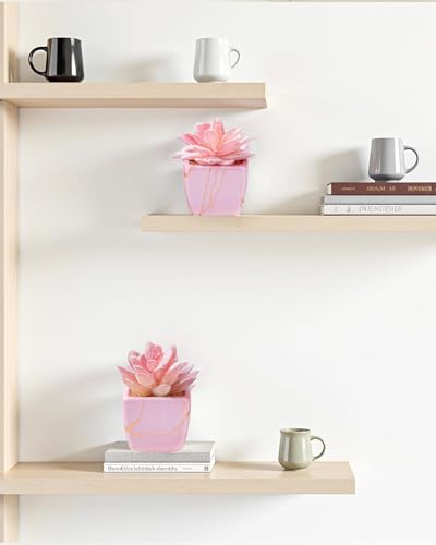 Taybonds Artificial Succulent in 2PCS Pink Ceramic Pot, Small Fake Succulents Plants for Office and Desk Decor,Bathroom - color: Pink