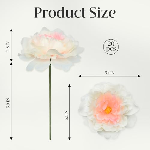 20 Pcs Artificial Flower Peonies, 5" Silk Fake Peonies with 6" Stems No Leaf, Faux Peonies Flowers for Decoration Wedding Home Party Centerpiece Decor Floral Art (Champagne) - color: Champagne