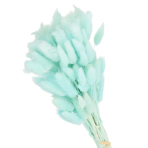 PATIKIL 15.7in Bunny Tails Dried Flowers, 80pcs Pampas Grass Decor Rabbit Tail Natural Pampas Grass Bulk Fluffy Faux Pampas Grass Dried for Home Boho Decor Vase Wedding Table, Light Blue - color: Light Blue