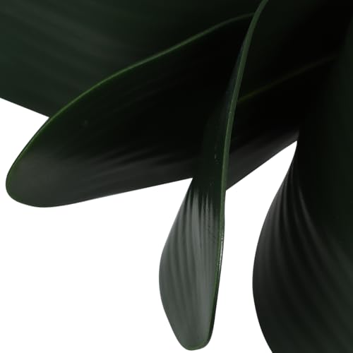 ARTIBETTER 3 Pcs Artificial Phalaenopsis Orchid Leaf Stems with 5 Green Leaves Each Eva Foam for Home Office Party Decoration