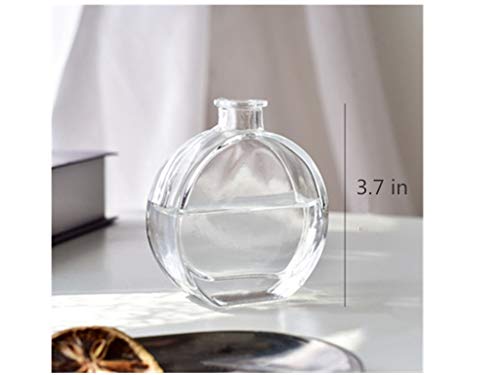 Set of 2 Mini Clear Glass Vase,Small Flower Bud Vase Hydroponics Planter Decorative for Flower,Table,Party,Home,Centerpieces(Clear 4) - color: Clear 4