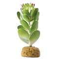 Exo Terra Jade Cactus Terrarium Plant - size: One Size, style: Jade Cactus