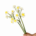 XIYUAN 6 Bundles Daffodils Artificial Flowers 20inch Lifelike Real Touch Narcissus Spring Flowers PU Fake Daffodil Flower Home Indoor Outdoor Wedding Table Party Decor (White)