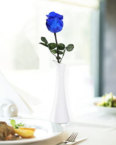 Blue Flowers for Delivery Prime, Preserved Blue Roses Flower Gifts for Women, Real Roses Single Rose Gifts for Her, Mom Birthday Gifts from Daughter, Valentines Flowers - color: 05-blue