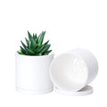 D'vine Dev 2 Pack 4 Inch Modern Plastic Plant Pots, Small Garden Planters for Plant with Drainage Holes and Saucers, White Color, 74-Z-E-1 - size: 4"